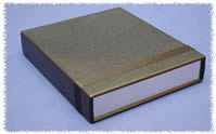 Hammond 1598BK